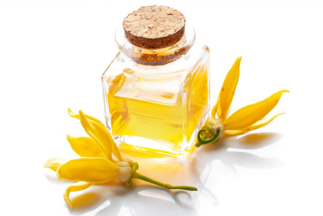 How-can-you-use-Essential-Oils-for-Stress-Relief
