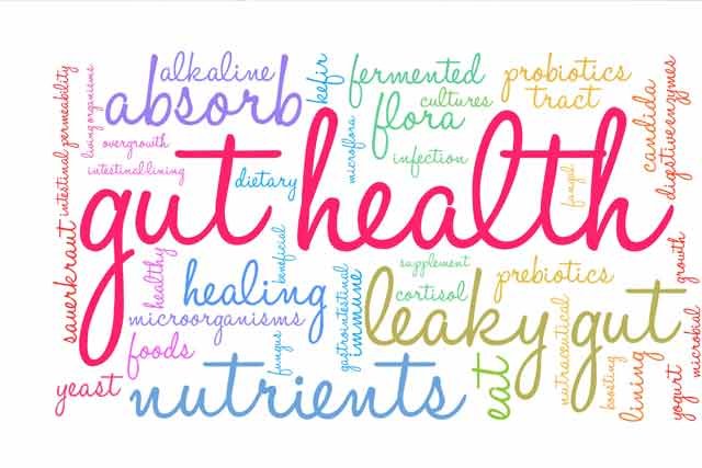 Why gut health is important