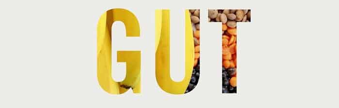 A healthy gut also keeps your mental health in good condition, weight under control and saves you from various chronic diseases. There is a science behind how gut functions and how can we keep it healthy. 
So, Kaldan in her blog tells you gut health is important and gives you specific reasons for it. 